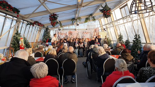 Polderr. optreden 